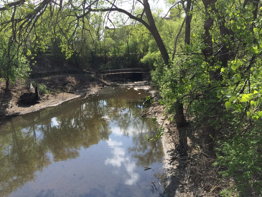 Picture of a river or creek